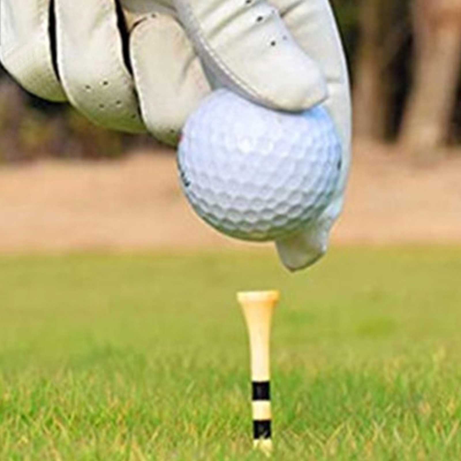 100 Pezzi Accessori per Attrez - Golf Equipment Holder recensione e prezzo